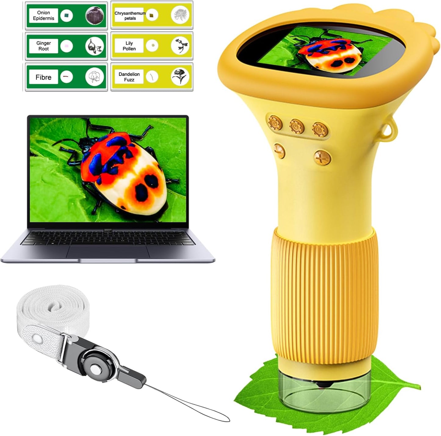 Kids Portable Microscope