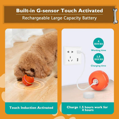 Automatic Ball Chase Toy for Dogs