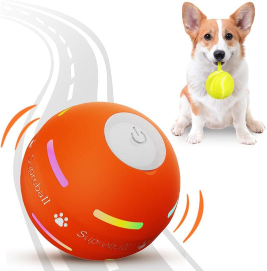 Automatic Ball Chase Toy for Dogs