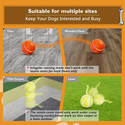 Automatic Ball Chase Toy for Dogs