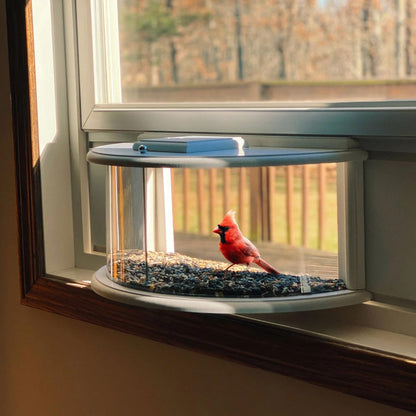 Indoor Window Bird Feeder