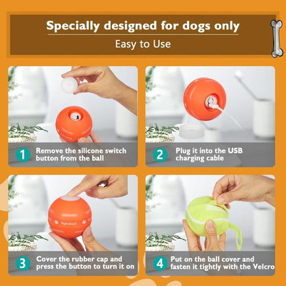 Automatic Ball Chase Toy for Dogs