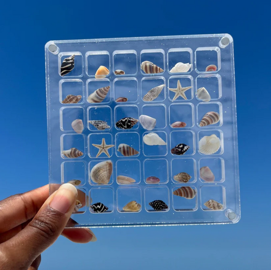 SeaShell Display Case