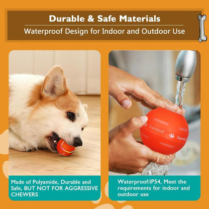 Automatic Ball Chase Toy for Dogs